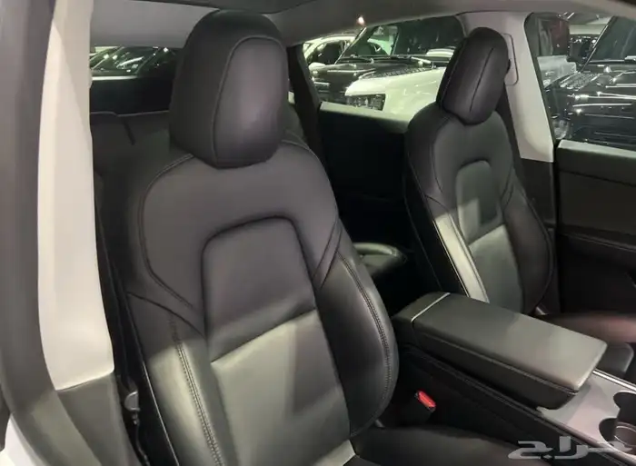2023 Tesla Model Y Performance AWD 10