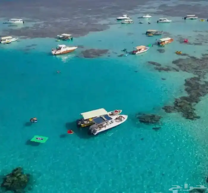 رحلات جزيرة بياضه مالديف جده 5