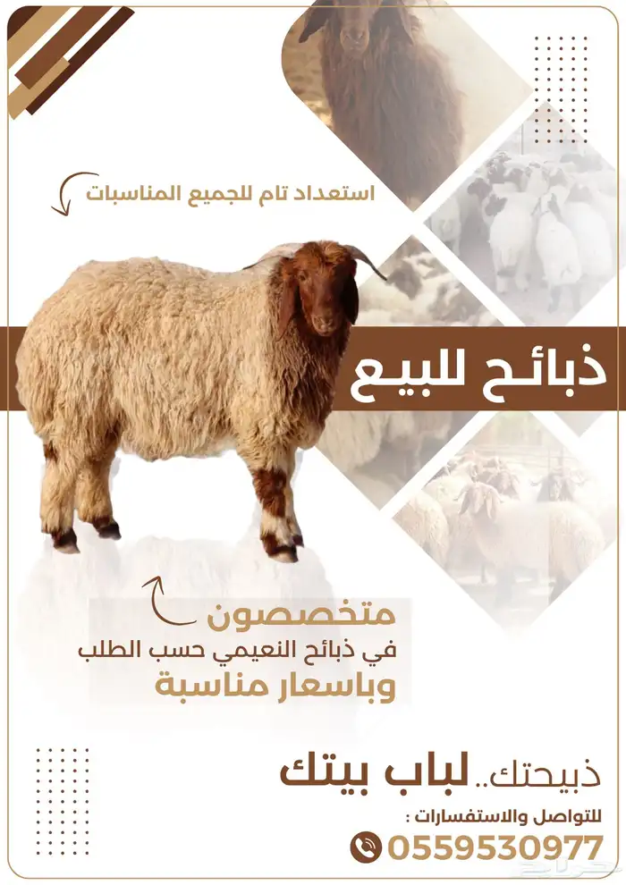 تصميم إعلانات بمناسبة عيد الاضحى تصميم جرافيك بافضل الاسعار 7
