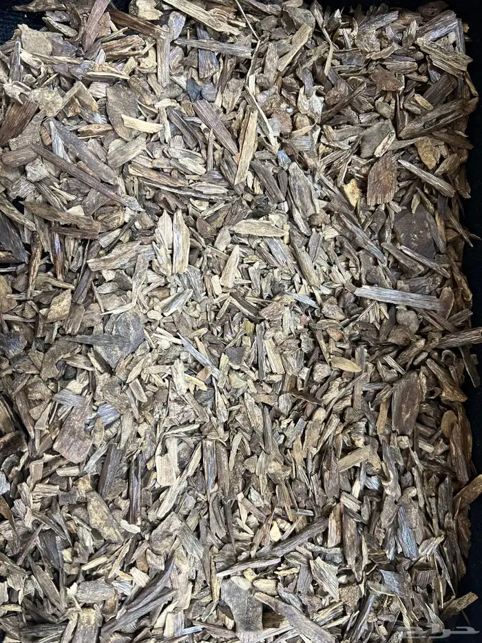 عروض الطيب 6