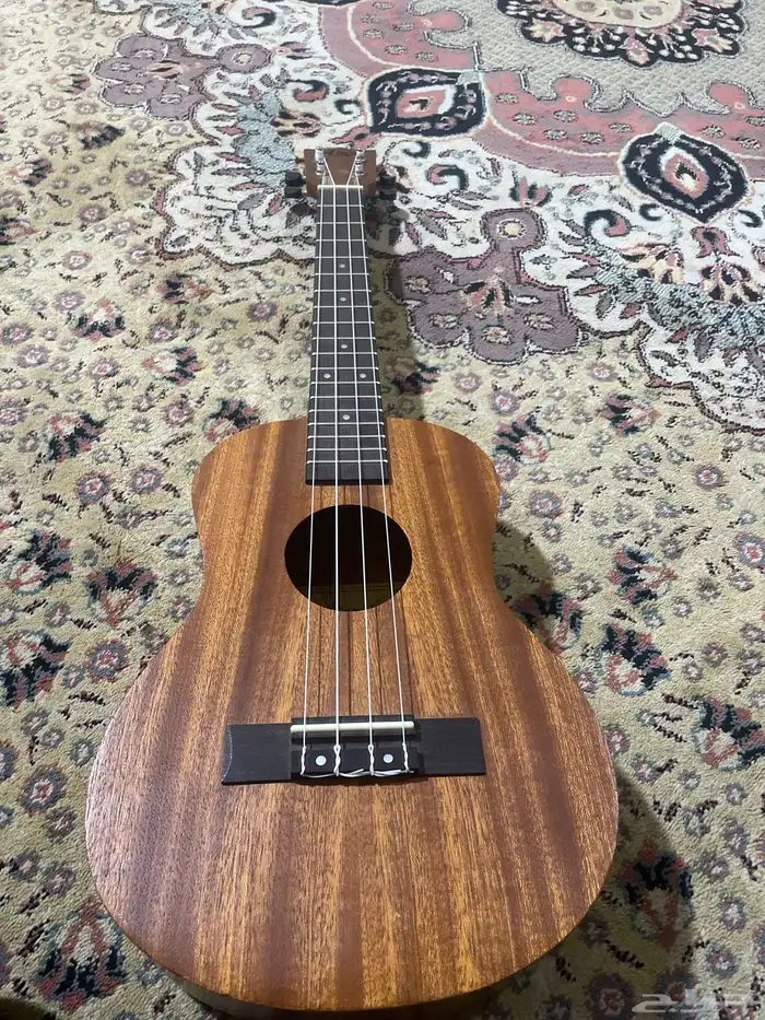 جتار للبيع على السوم الصامل يجي نضيف 0