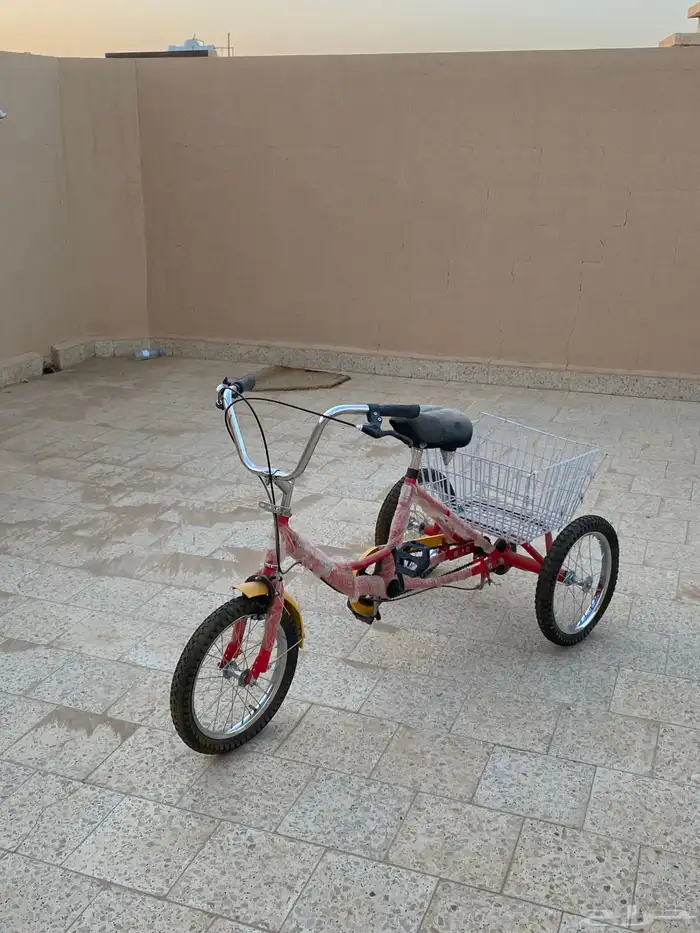 سيكل نضيف شبه جديد على قراطيسه 0