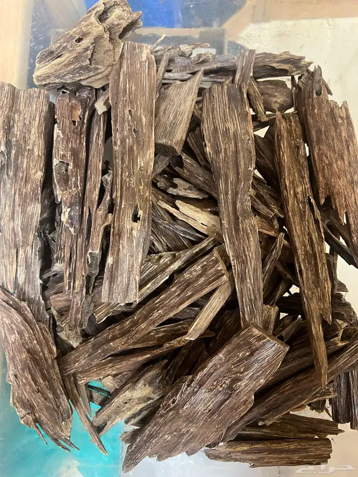 عروض الطيب 29