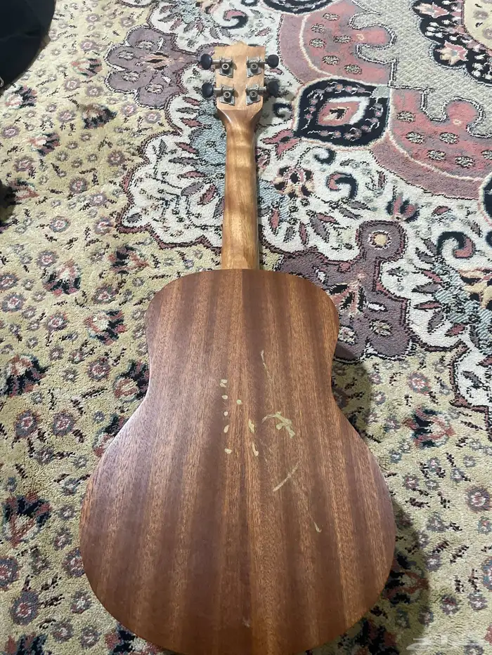 جتار للبيع على السوم الصامل يجي نضيف 1