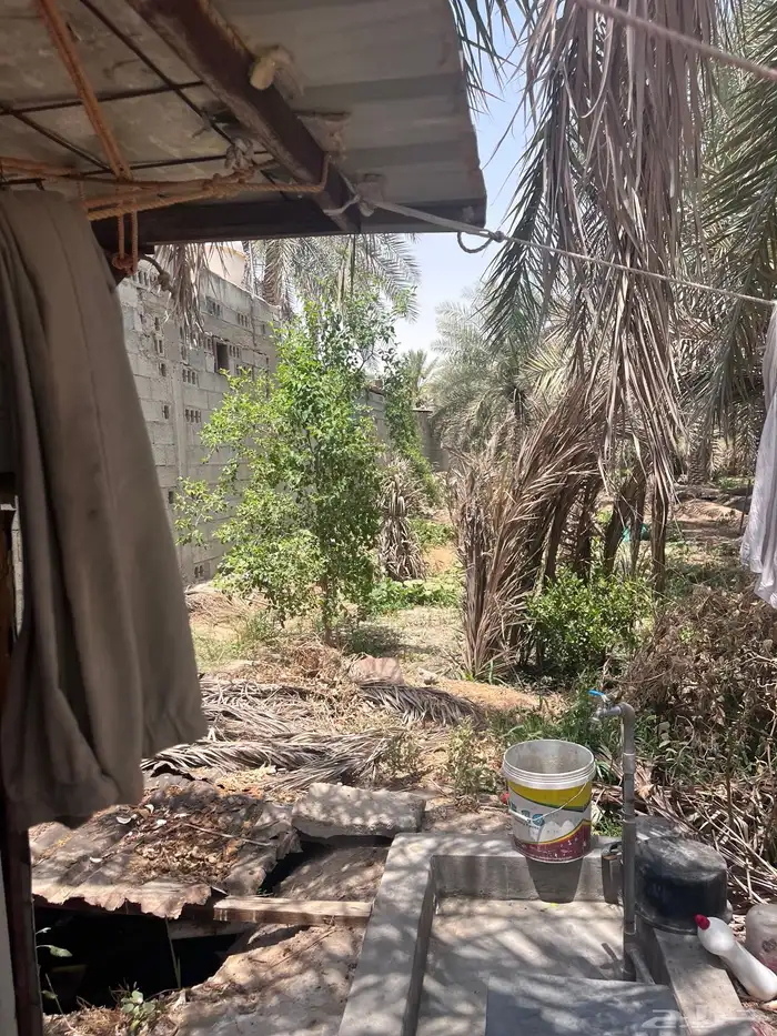 مزرعة للبيع -أرض زراعية موقع متميز- الاحساء- مزارع 23