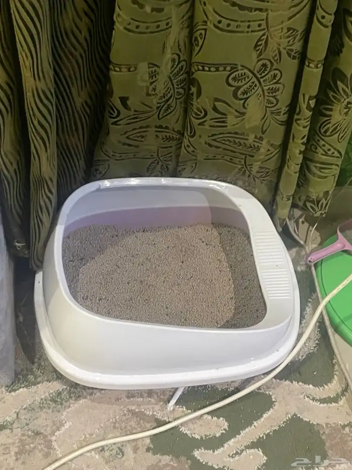 اغراض قطط للبيع 1