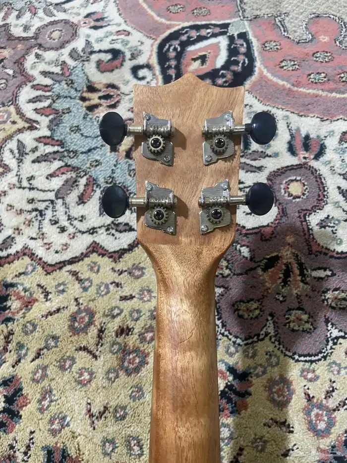 جتار للبيع على السوم الصامل يجي نضيف 4