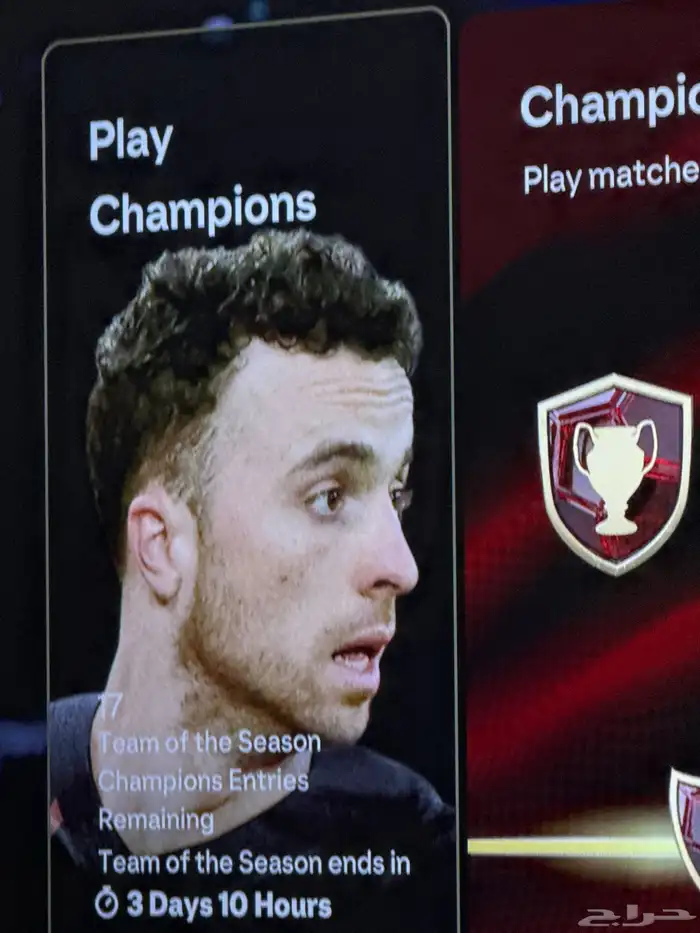 فيفا كوينز 0