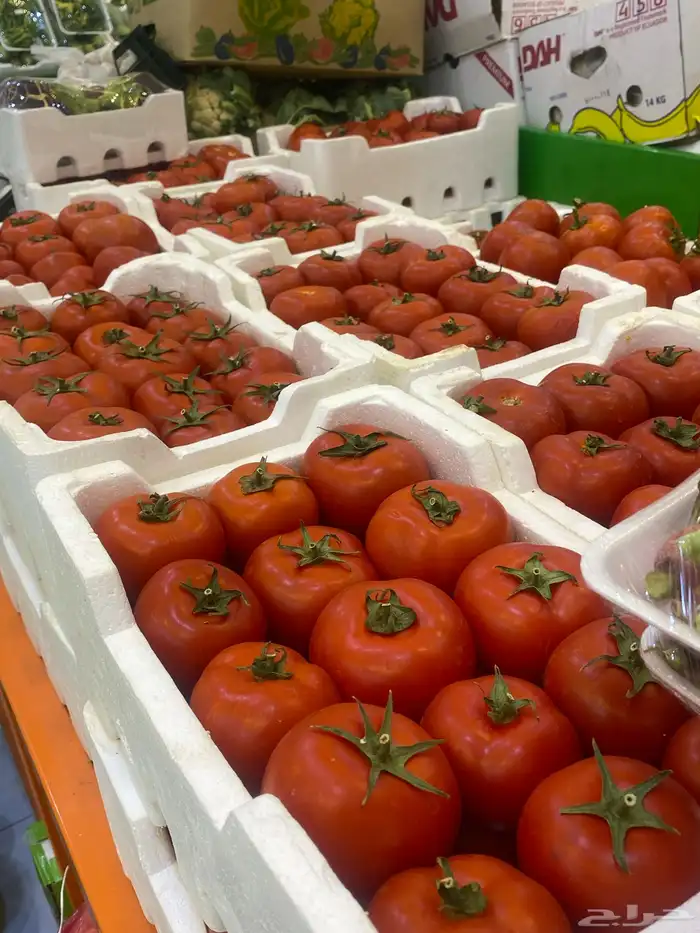 توزيع خضار مطاعم محلات 2