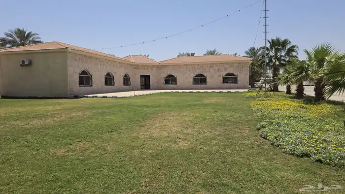 للإيجار اليومي مزرعة الصالحية و اسطبل خيل ببريدة 15
