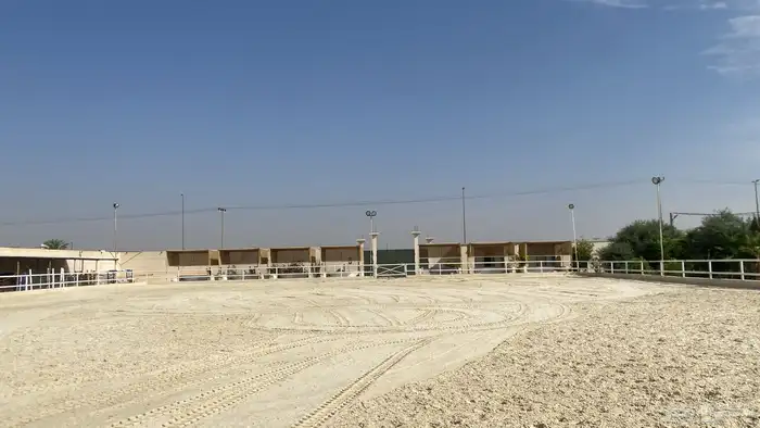 اكاديمية فروسيه لقفز الحواجز 1