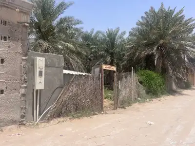 مزرعة للبيع -أرض زراعية موقع متميز- الاحساء- مزارع 28