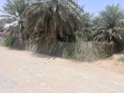مزرعة للبيع -أرض زراعية موقع متميز- الاحساء- مزارع 26