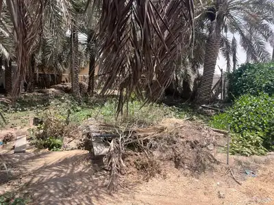 مزرعة للبيع -أرض زراعية موقع متميز- الاحساء- مزارع 22
