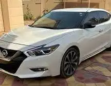 يوجد لدينا جيرات نسيان cvt 1