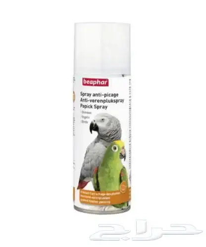متجر Modi Birds مودي للحيوانات الاليفة 4