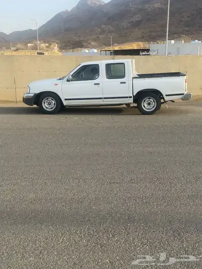 القنفذه 8