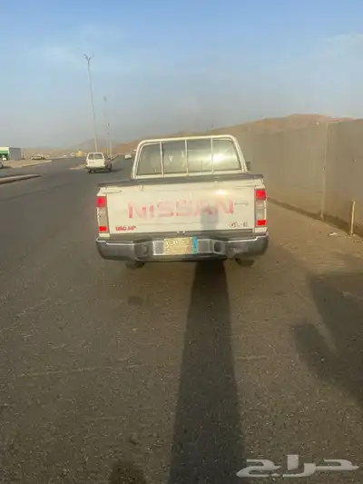 القنفذه 10