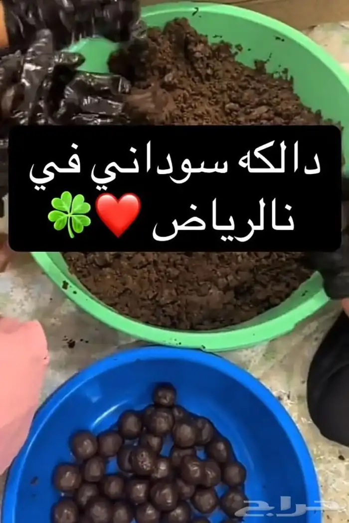 نقاشه أم الماس 4