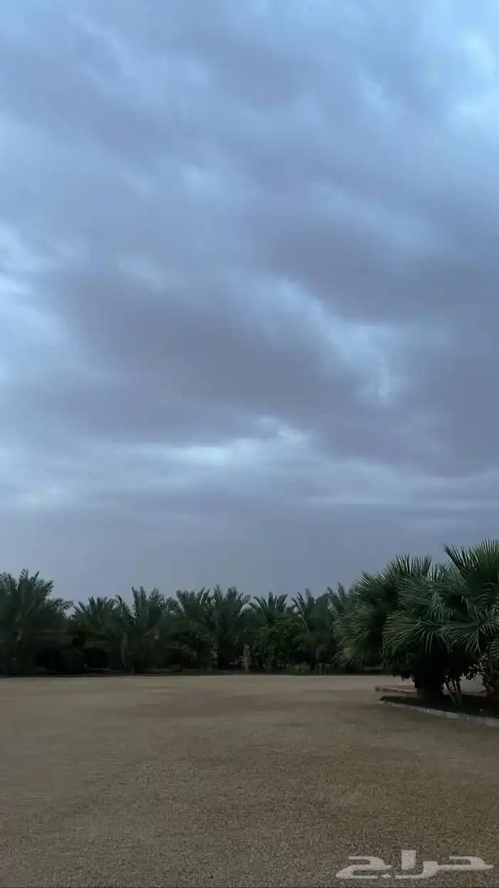 للبيع منتجع زراعي زاوية جنوبي شرقي في تبراك بمساحة 9115 متر 0