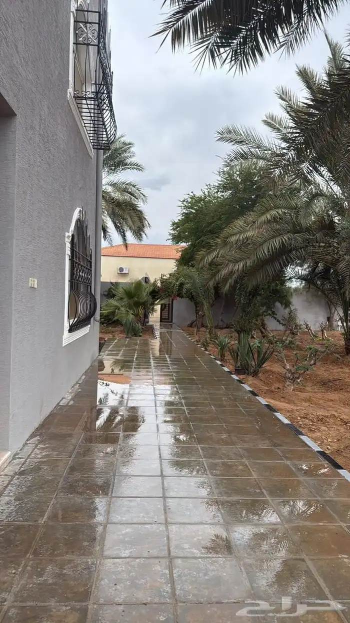 للإيجار اليومي مزرعة الصالحية و اسطبل خيل ببريدة 4