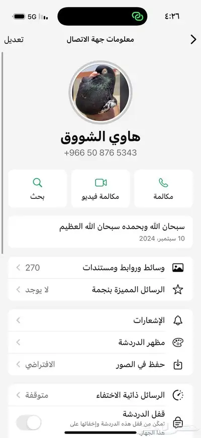 جوز تيدي رامبوري سهران 2