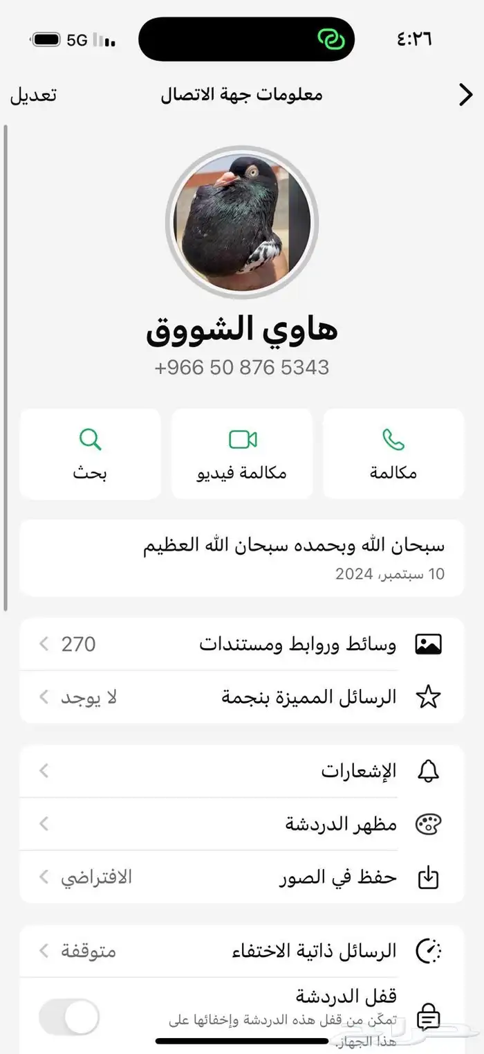 جوز تيدي رامبوري سهران 2
