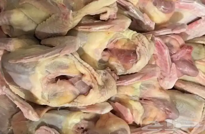 زغاليل حمام فرنسي جامبو 0