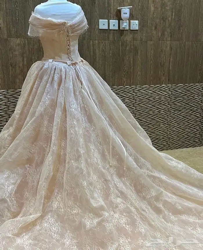فساتين مناسبات للاجار من تصميم ايمان العجلان فؤادسركس رهيد 1