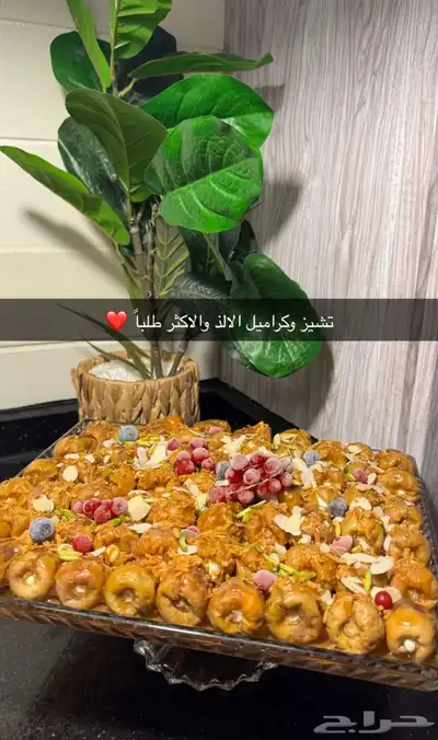 تمريه الشيوخ 3