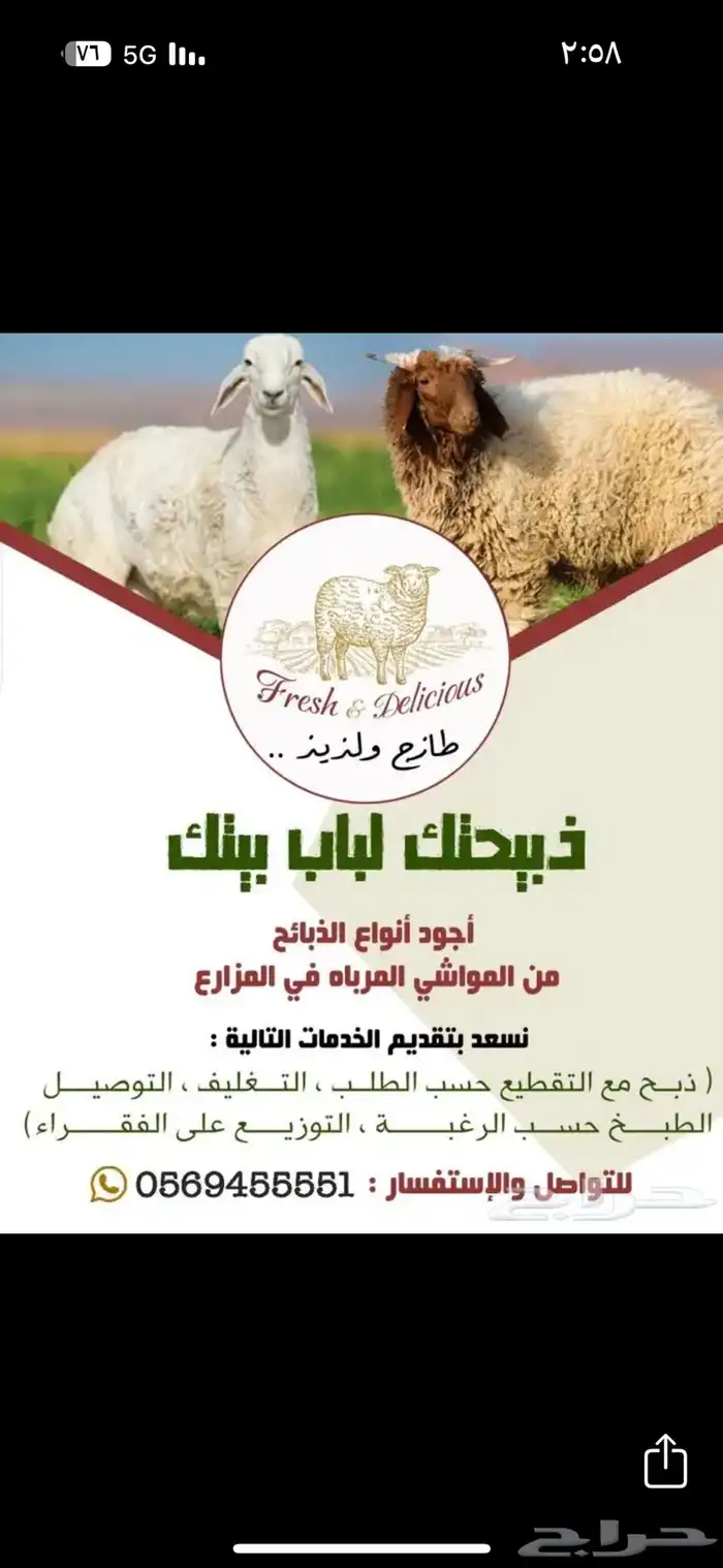 طليان نعيمي ونجدي وحري وسواكني وتيوس 7