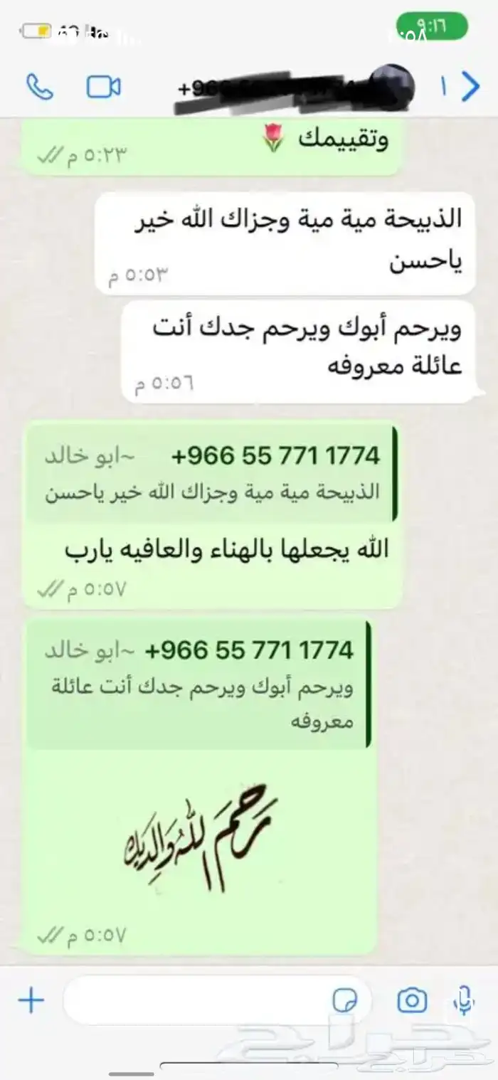 طليان نعيمي ونجدي وحري وسواكني وتيوس 12