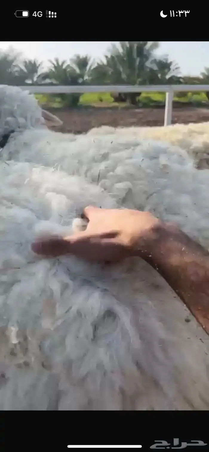 حيل 1