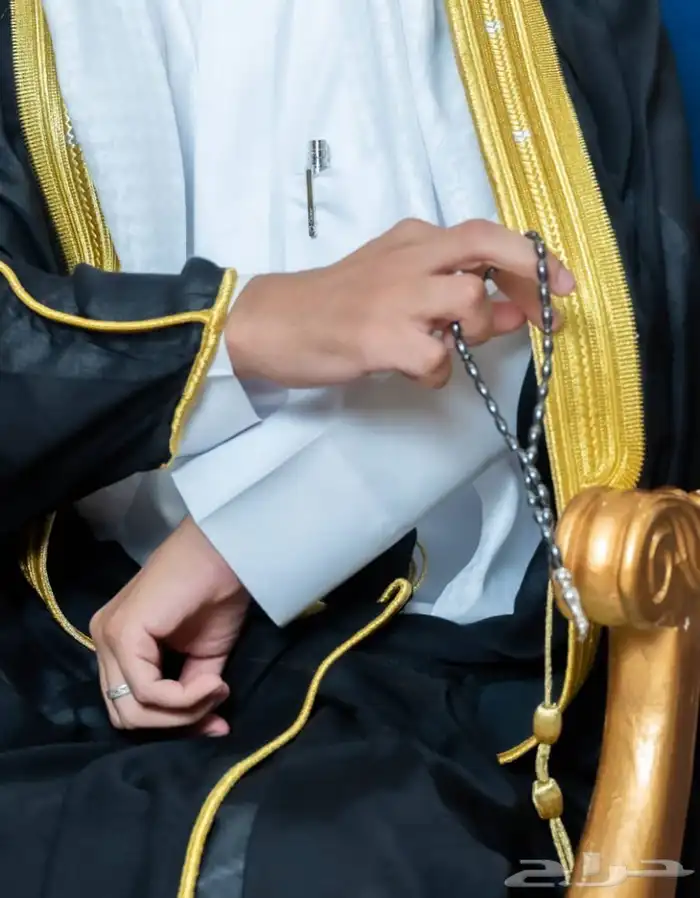 مصور 8
