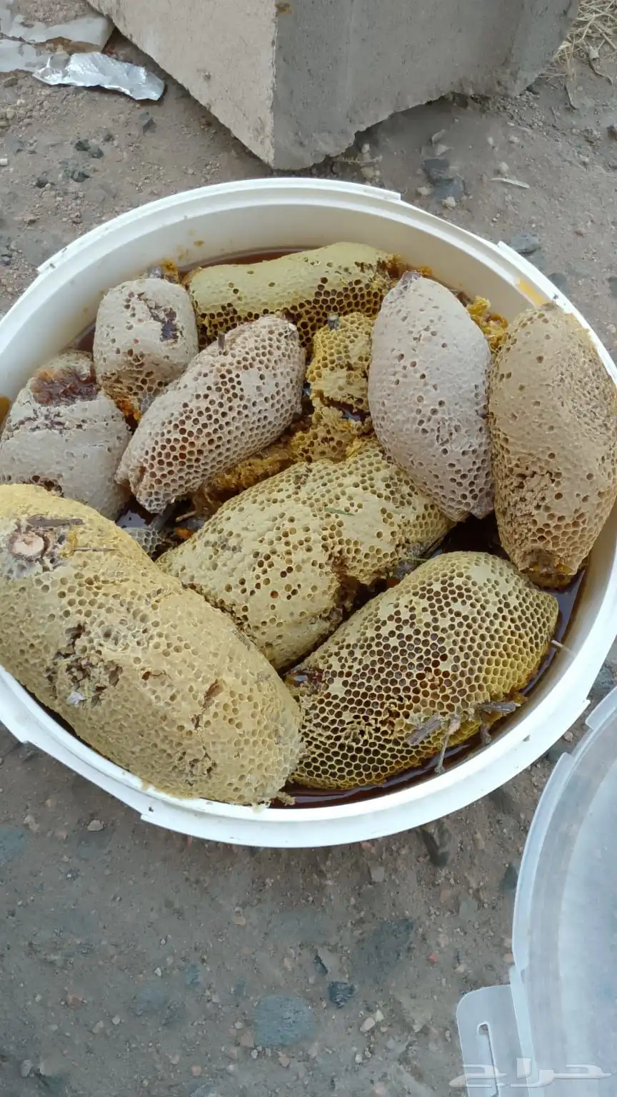 عسل حر جبلي 1