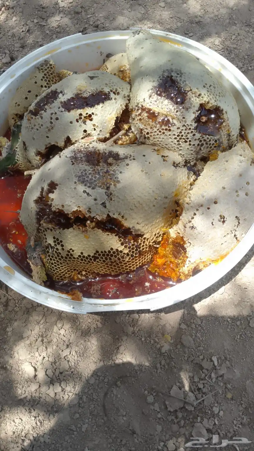 عسل حر جبلي 3