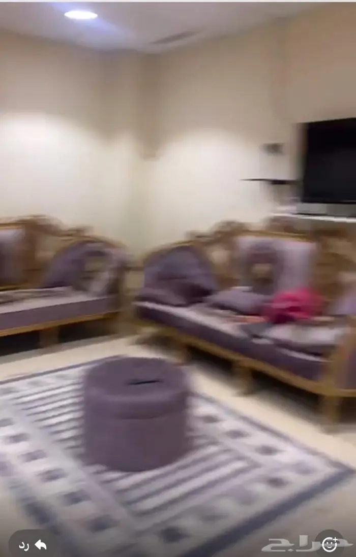 استراحه بالحوش القيصومة 3