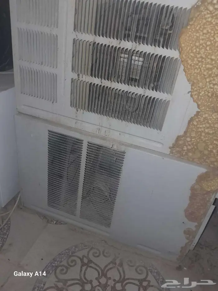 شارع المعابدة حي ظهر لبن 10