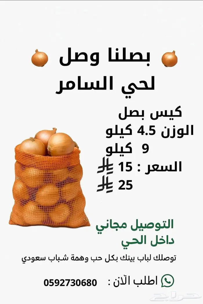 بصل وطني بذور يمني 0