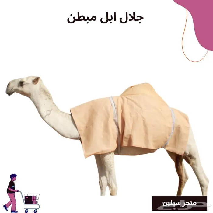 جلال ابل 0