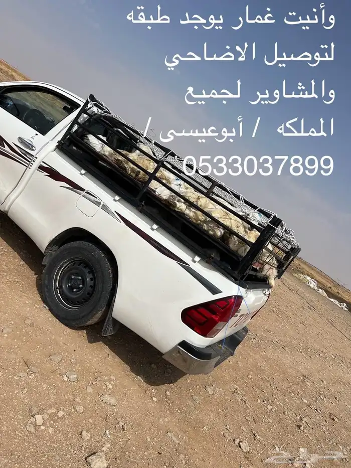 هايلكس للمشاوير لجميع المملكه لتوصيل الاضاحي 0