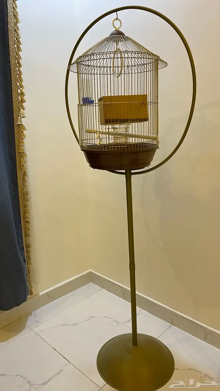 طاولتين خاليه من الكسر ب 20 وقفص عصفور جميل100 3