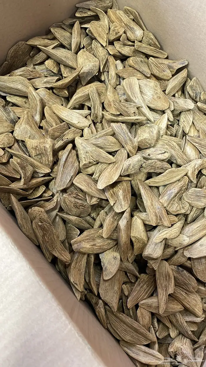 بخور موروكي طبيعي محسن مناسب جدا للمناسبات والزواجات 0
