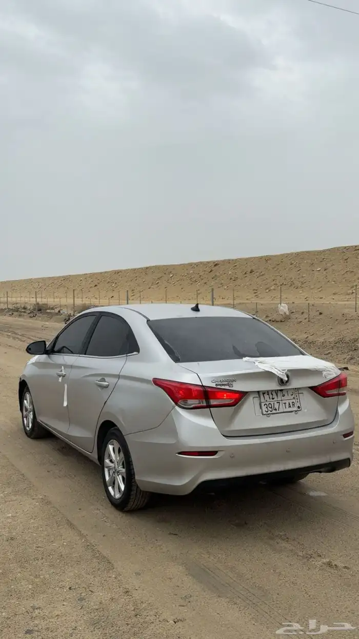 شانجان السفن 2022 0