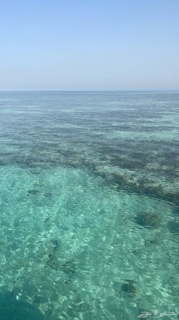 رحلات بحريه ورحلات جزيره بياضه شباب وعوائل مرسي الاحلام 7