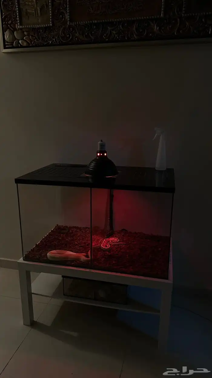 تفصيل أحواض زواحف 3