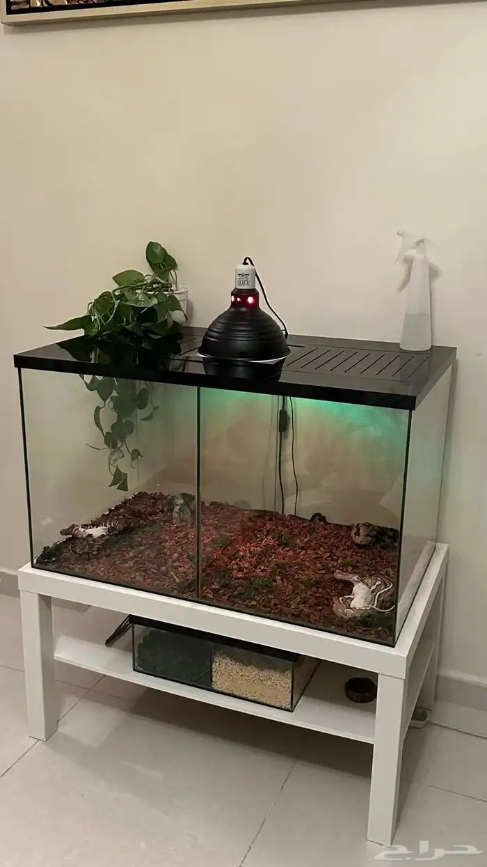 تفصيل أحواض زواحف 5