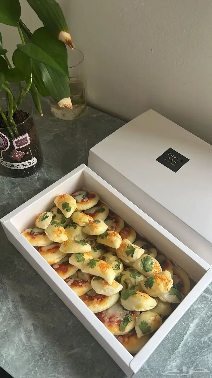 معجنات 3