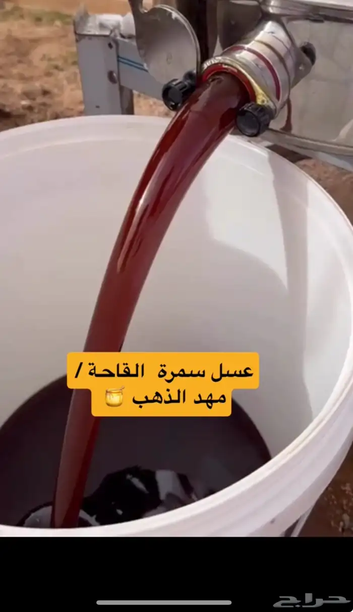 عسل سمره 0