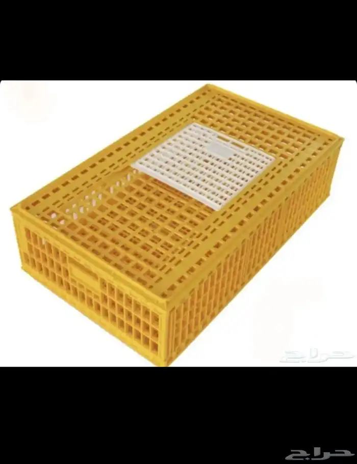 خميس مشيط 0